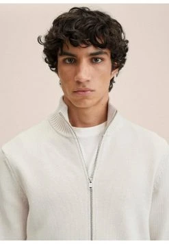 Mango Herren BINGER - Strickjacke - Ice Grey -Mango Populaire Boutique ae7764d19efb4829a06b3267260db0ab