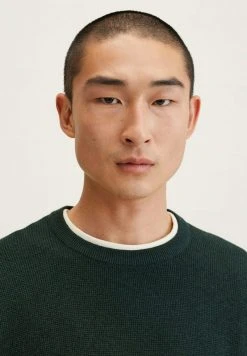 Mango ANTIGUA - Strickpullover - Donkergroen | Herren 13 Mango ANTIGUA - Strickpullover - Donkergroen | Herren -Mango Populaire Boutique fe5d0afb22a64459838d3edd1ee3a8f9